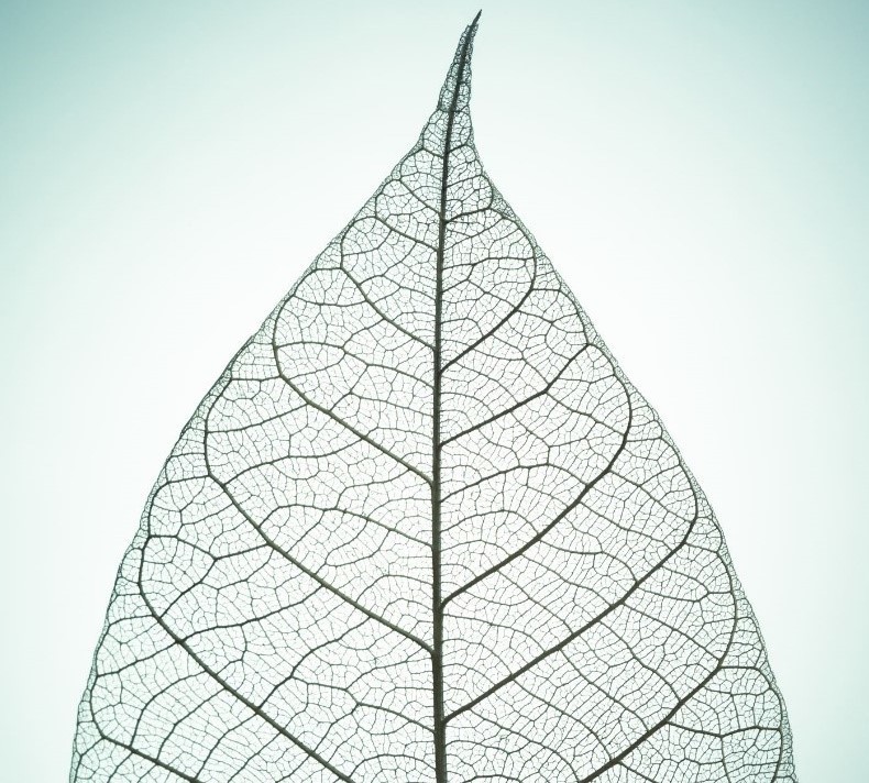 April STEM Programs at the Museum of Nature & Science