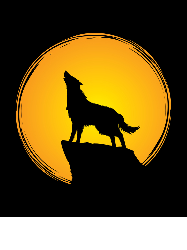 Coyote