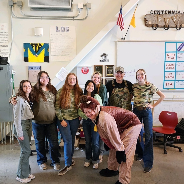 CHS